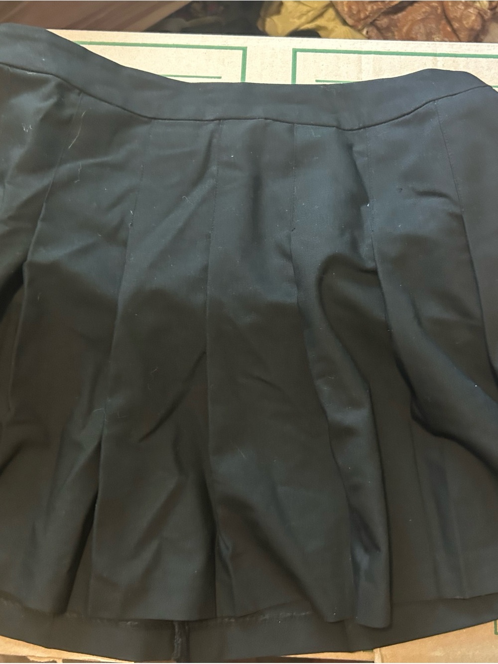Sunday best aritzia Black Pleated Women’s Skirt